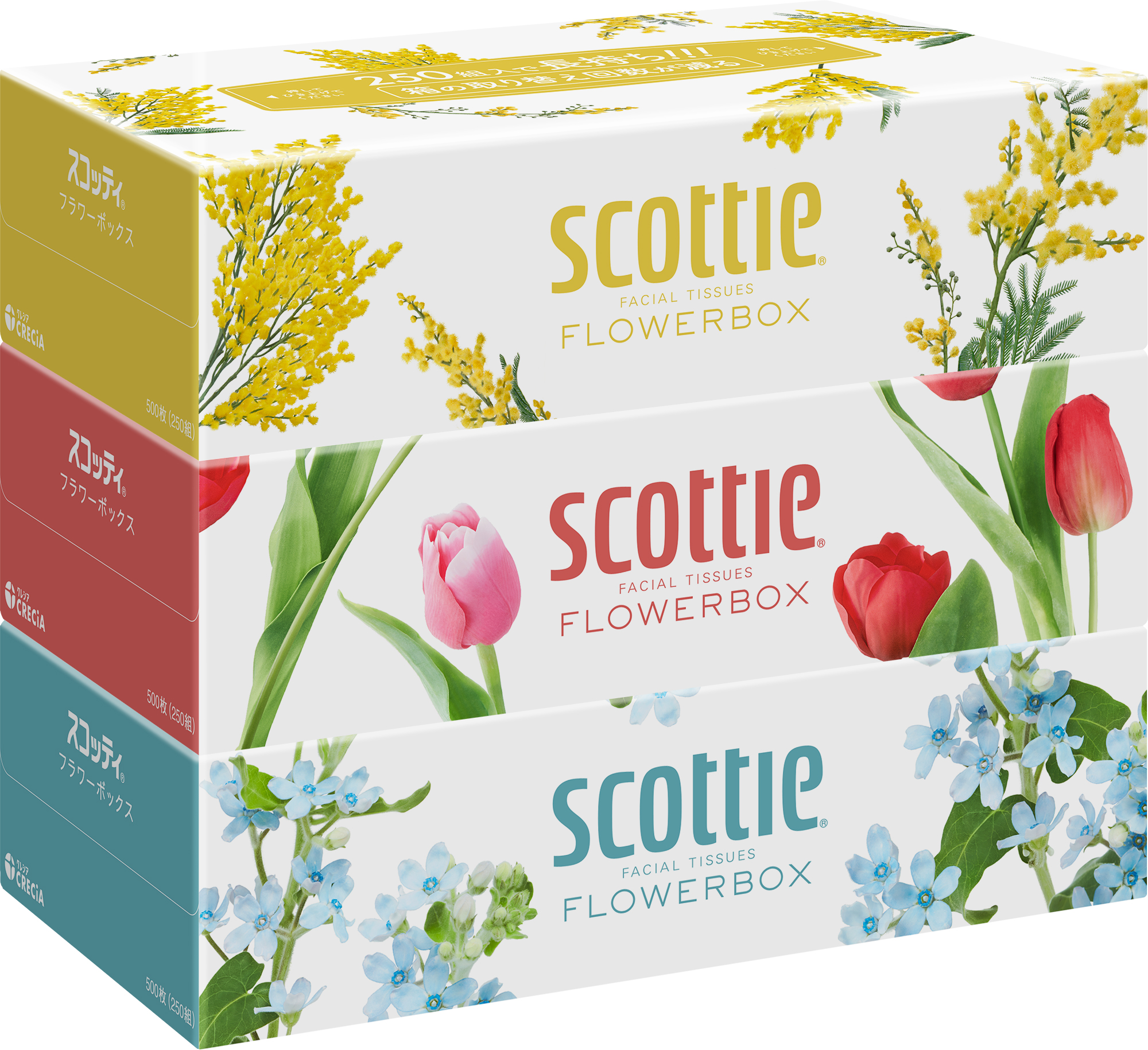 ｽｺｯﾃｨ250W3Pﾌﾗﾜｰ